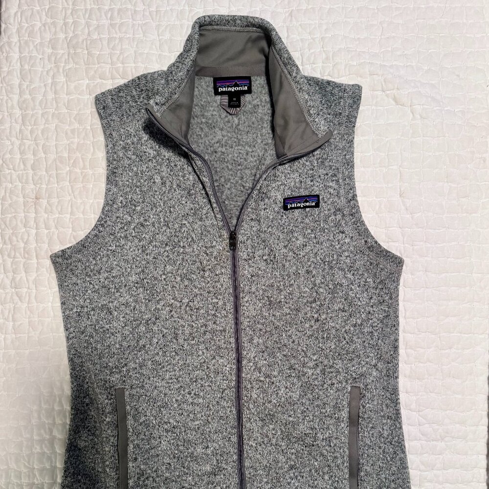 Patagonia Better Sweater Fleece Vest (birch white aka gray)